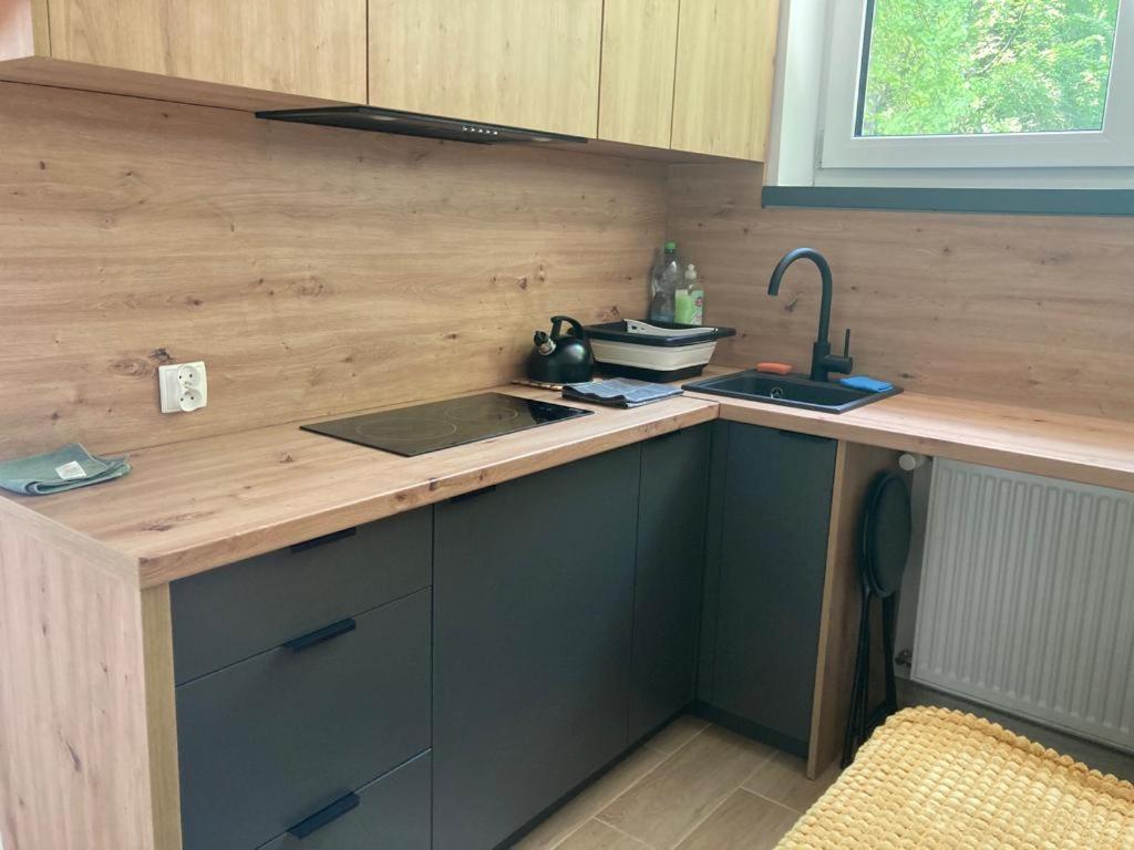 Apartamento Lemon Ustroń Exterior foto